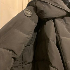 All black Canada goose